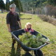 Caleb and his son Atreya are planting a Privacy hedge of native pine trees along the road that leads to Full Bloom.