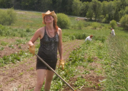 Rosie helping to hoe the potato fields.