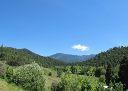 Summer greenery and the Siskiyou mountains.