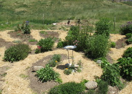 One of the organic gardens at Full Bloom Community