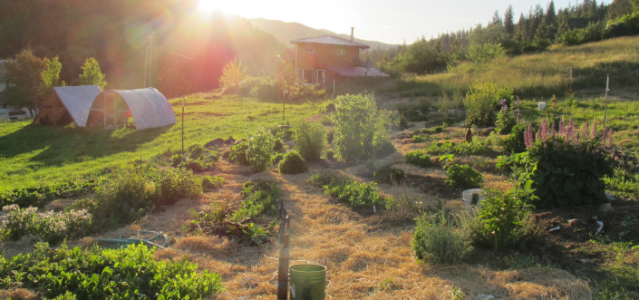 A shot of the land at Full Bloom Community. Permaculture principles are used when designing gardens.